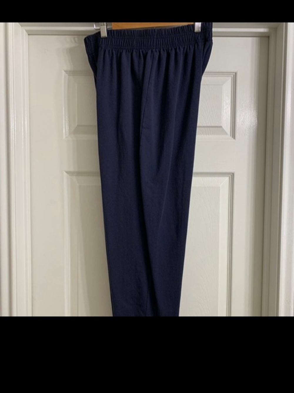 Navy blue pants so 18/20